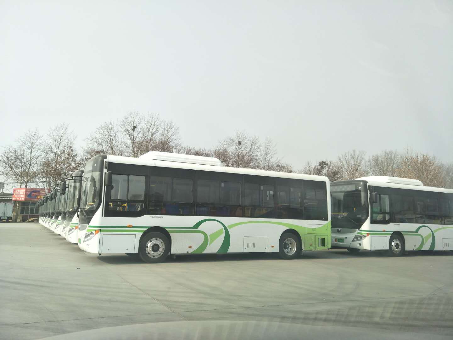 濰坊交運公司電動公交